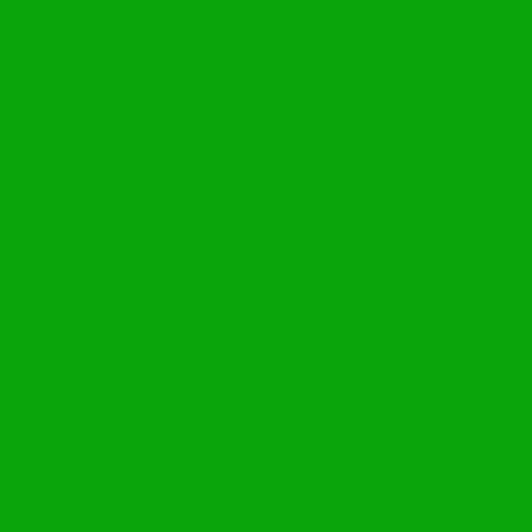 Emerald Dyed Merino 4.102