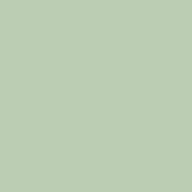 Green Grey Dyed Merino 7.11