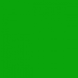 Emerald Dyed Merino 4.102