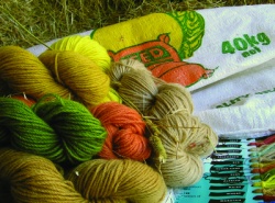 Landscape Sampler Dye Kit: Rural