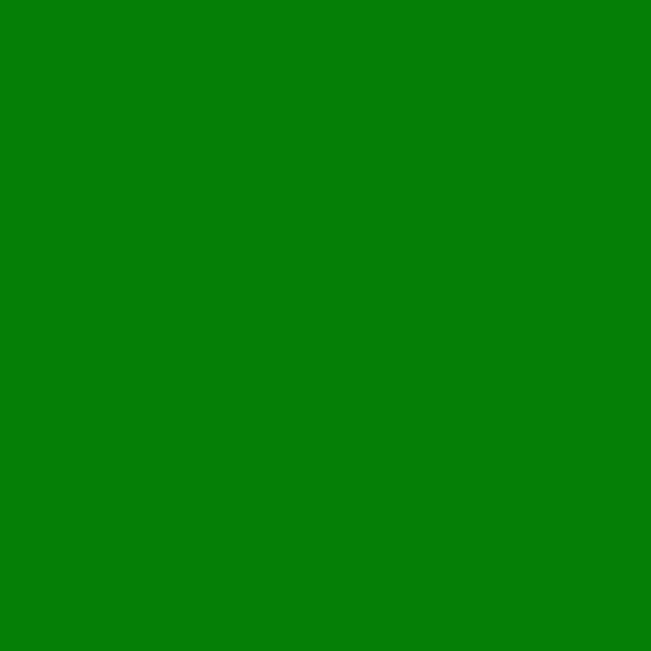 Mid Green Dyed Merino 4.94